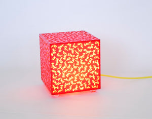 Lamp Shade Coral